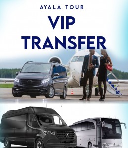rize vip transfer