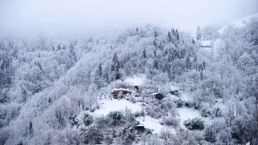 Ayder Turu Ayder Turu