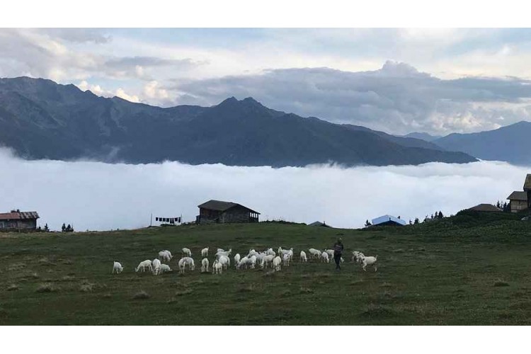 Double Huser Pokut Yaylası manzarası