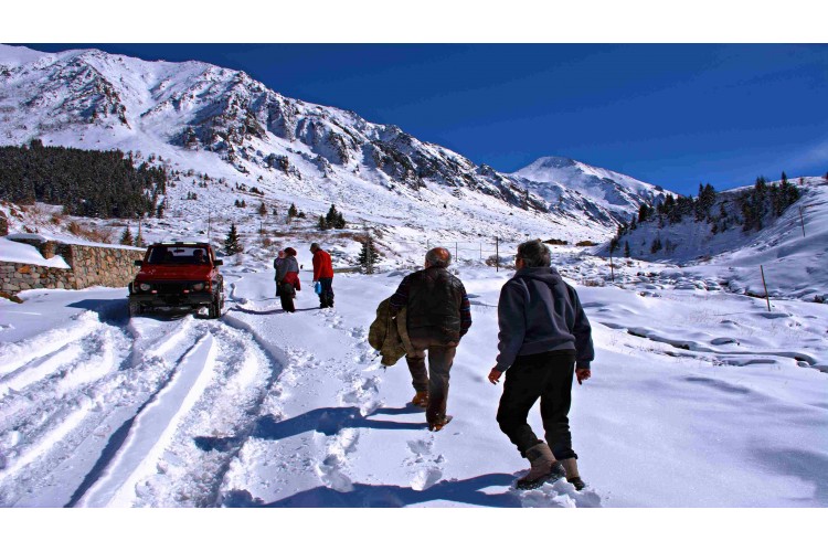 Ayder ve Elevit Yaylası Karadeniz doğası, yayla manzarası, ahşap evler ve sisli dağlar