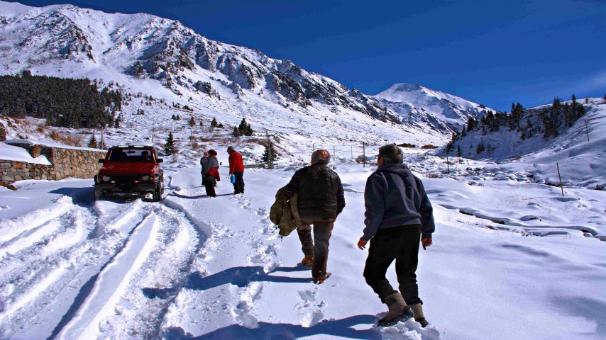 Ayder ve Elevit Yaylası Karadeniz doğası, yayla manzarası, ahşap evler ve sisli dağlar