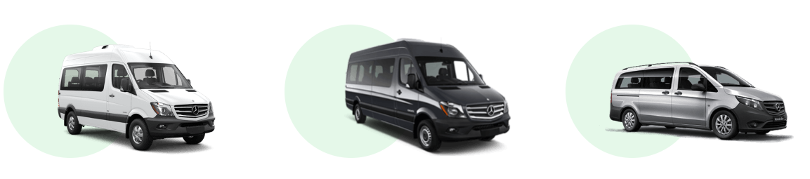 trabzon havaalanı transfer